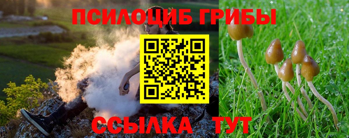 Псилоцибиновые грибы MAGIC MUSHROOMS Нарткала