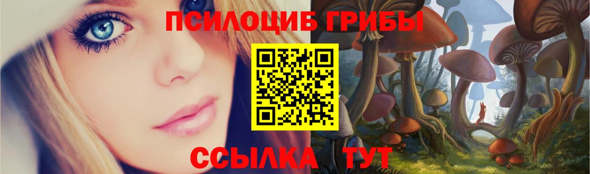 Нарткала  Псилоцибиновые грибы GOLDEN TEACHER  Вход с VPN  Псилоцибиновые грибы Psilocybe 